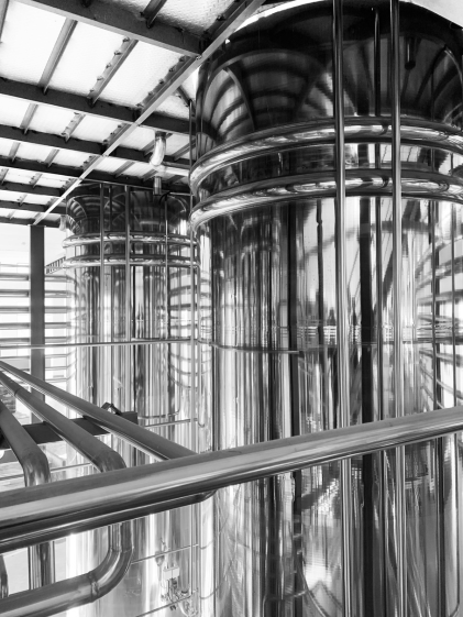 Precise fermentation for mass production