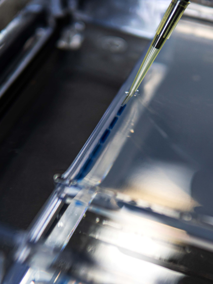  Strain Optimization Inspired by Nature